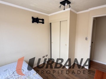 Imagen 12