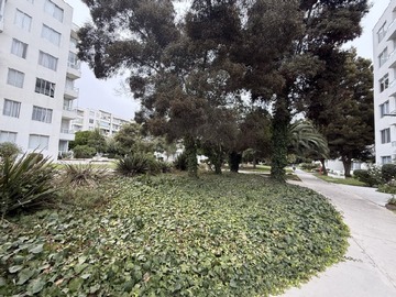 Imagen 22