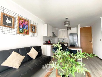 Imagen 19