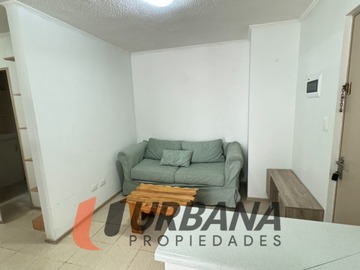 Imagen 13
