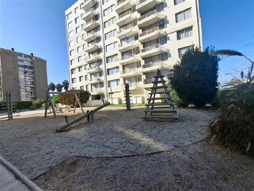 Imagen 13