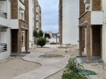 Imagen 15