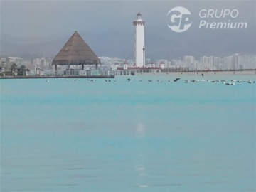 Venta / Departamento / La Serena