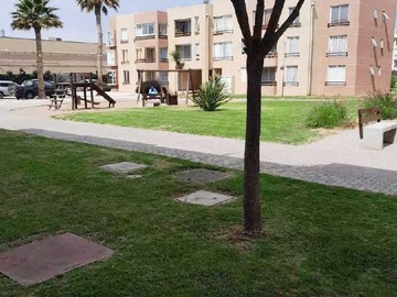 Imagen 15
