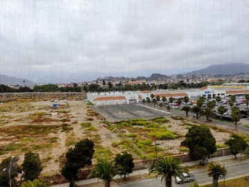 Imagen 24