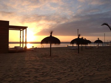 Imagen 11