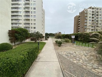 Imagen 16