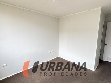 Imagen 11