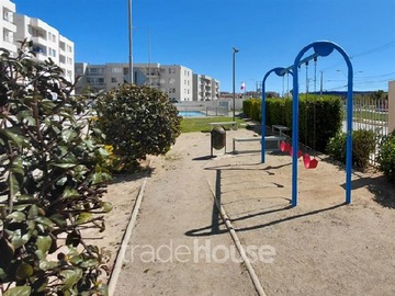 Imagen 11
