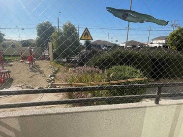Imagen 11