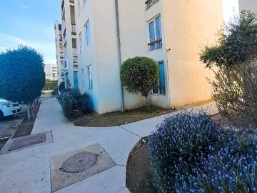 Venta / Departamento / La Serena