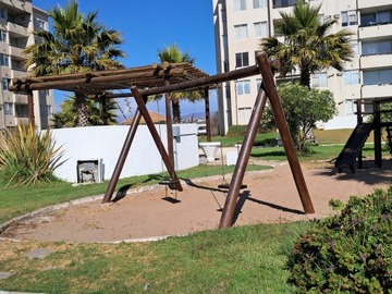 Imagen 11