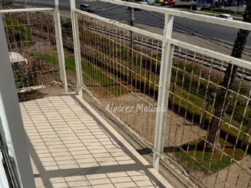 Imagen 25