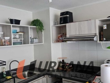 Imagen 6