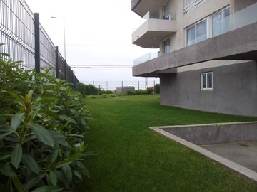 Imagen 12