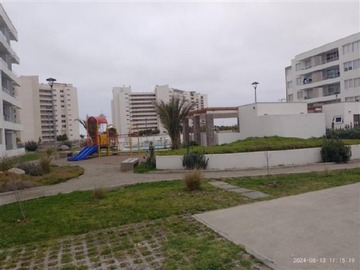 Imagen 7