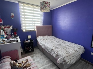 Imagen 7