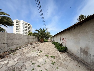 Imagen 16