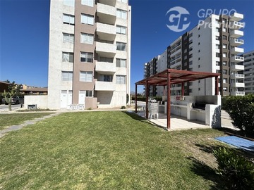 Imagen 11