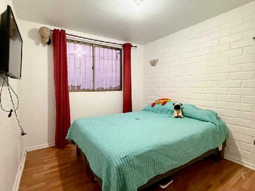 Imagen 8