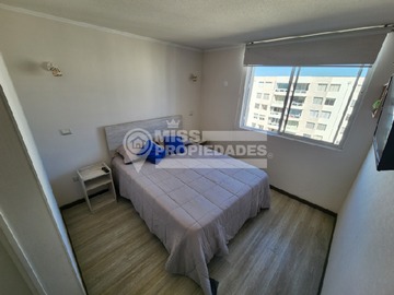 Imagen 12