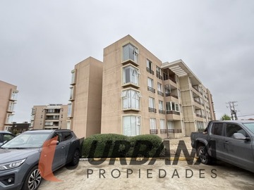Imagen 14