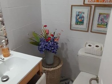 BAÑO VISITA