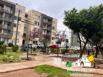 Imagen 21