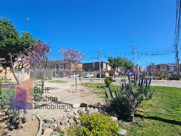 Imagen 15
