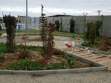 Imagen 7