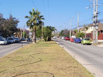 Imagen 14