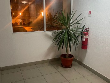 Imagen 11