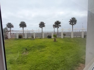 Imagen 7