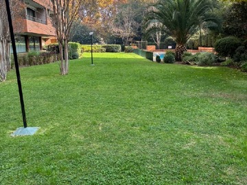 Imagen 8