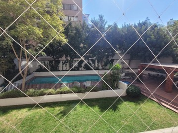 Imagen 13