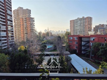 Imagen 21