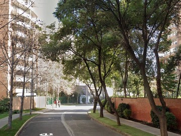 Imagen 16
