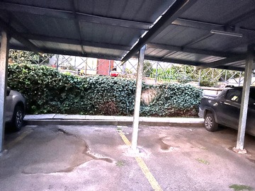 Estacionamientos