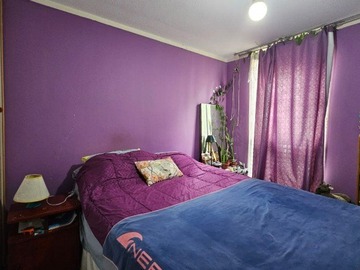 Imagen 5