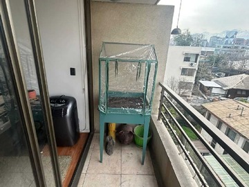 Imagen 10