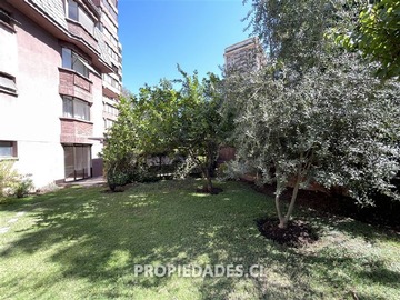 Imagen 25