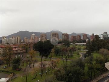 Imagen 8