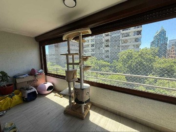 Imagen 21