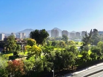 Imagen 6