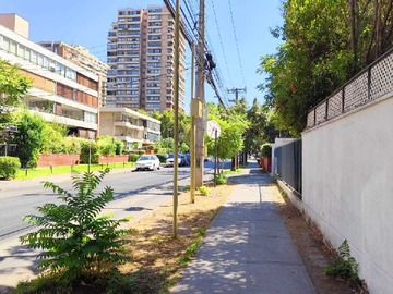 Imagen 20