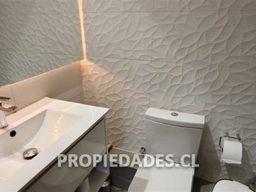Imagen 19
