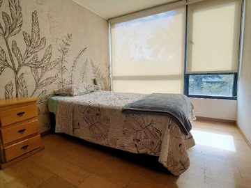 Imagen 16