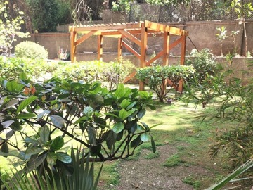 Imagen 23