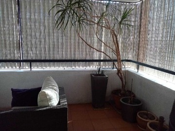 Imagen 6