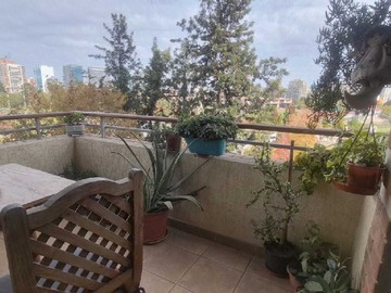 Imagen 20